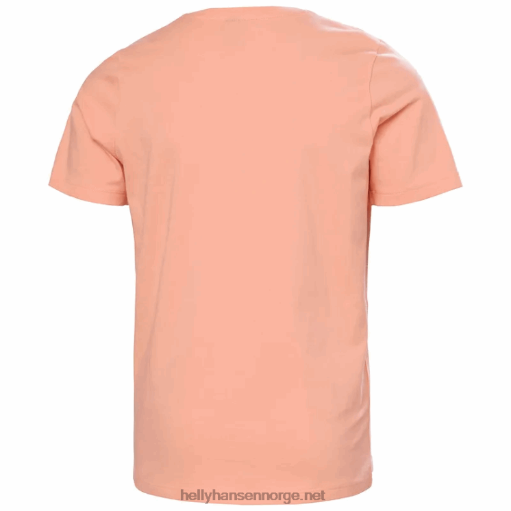 hh logo t-skjorte for juniorer Helly-Hansen F6TJ02504 lyseblå