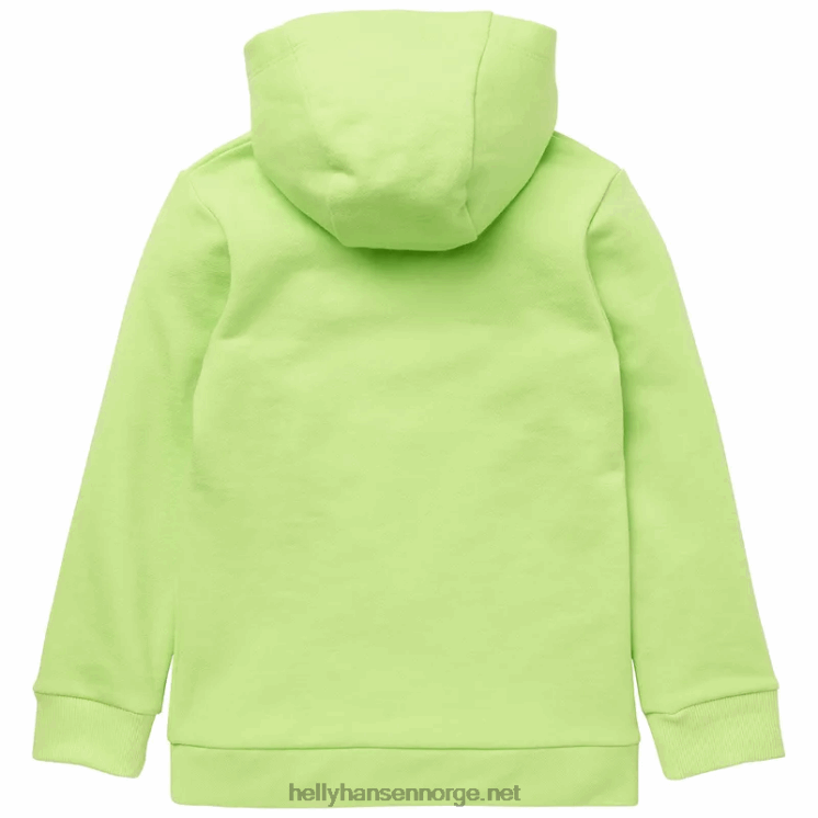 hettegenser med hh-logo for barn Helly-Hansen F6TJ02368 lyng