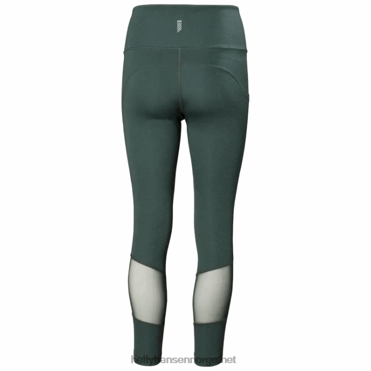 verglas tur bukser for kvinner Helly-Hansen F6TJ01780 ibenholt