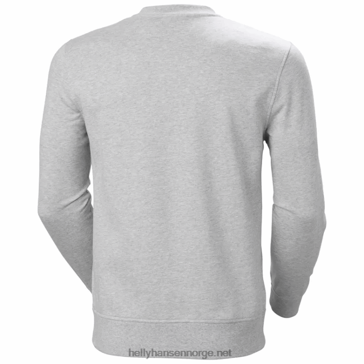 herre nord grafisk crew genser Helly-Hansen F6TJ0777 gran