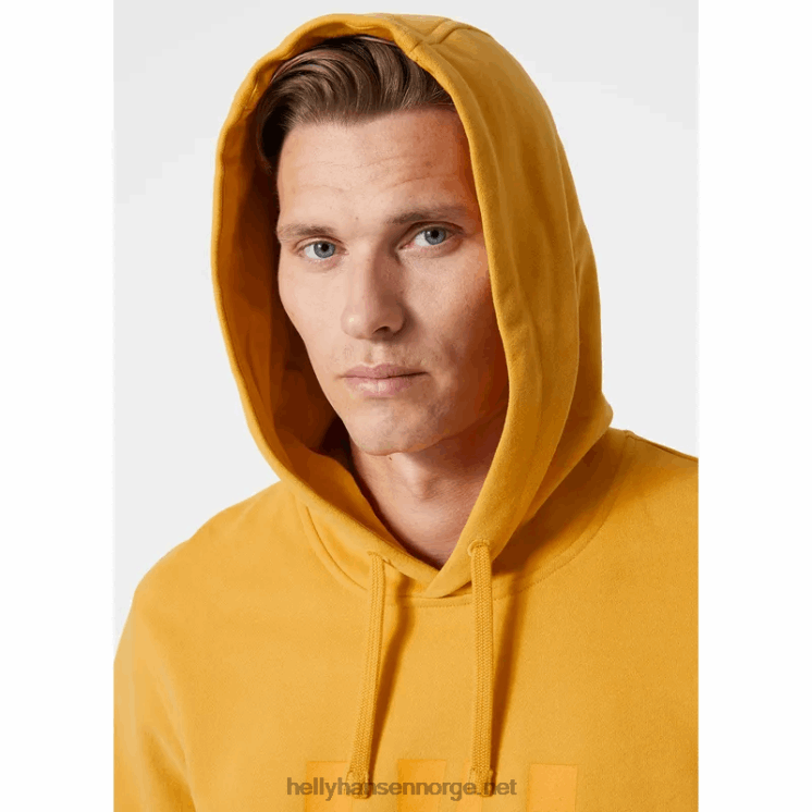 herre ullr d skibukse Helly-Hansen F6TJ0765 svart