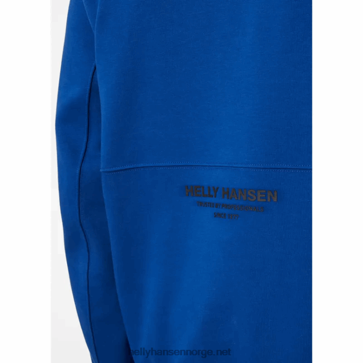 sweat-hettegenser for menn Helly-Hansen F6TJ0790 Dal