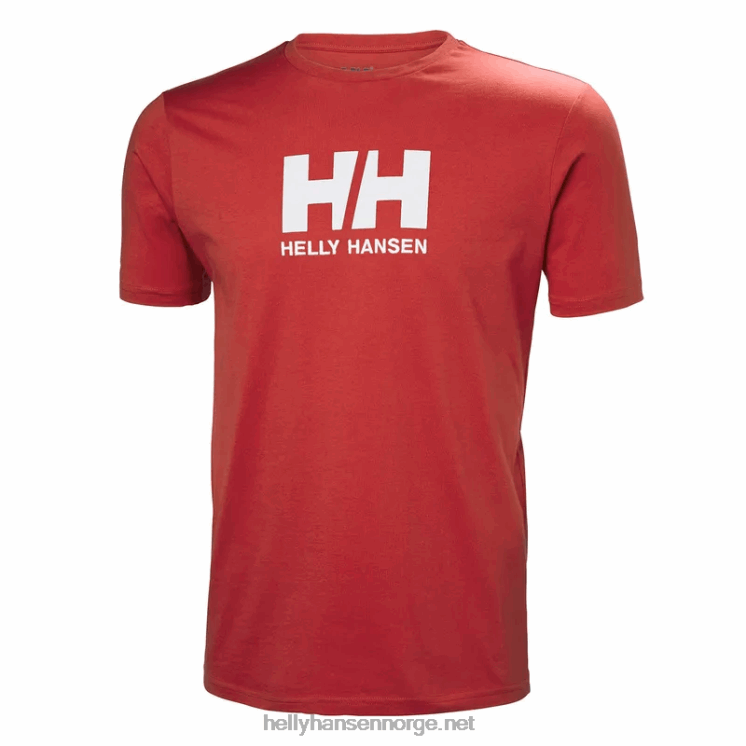 hh logo t-skjorte for menn Helly-Hansen F6TJ0854 endive