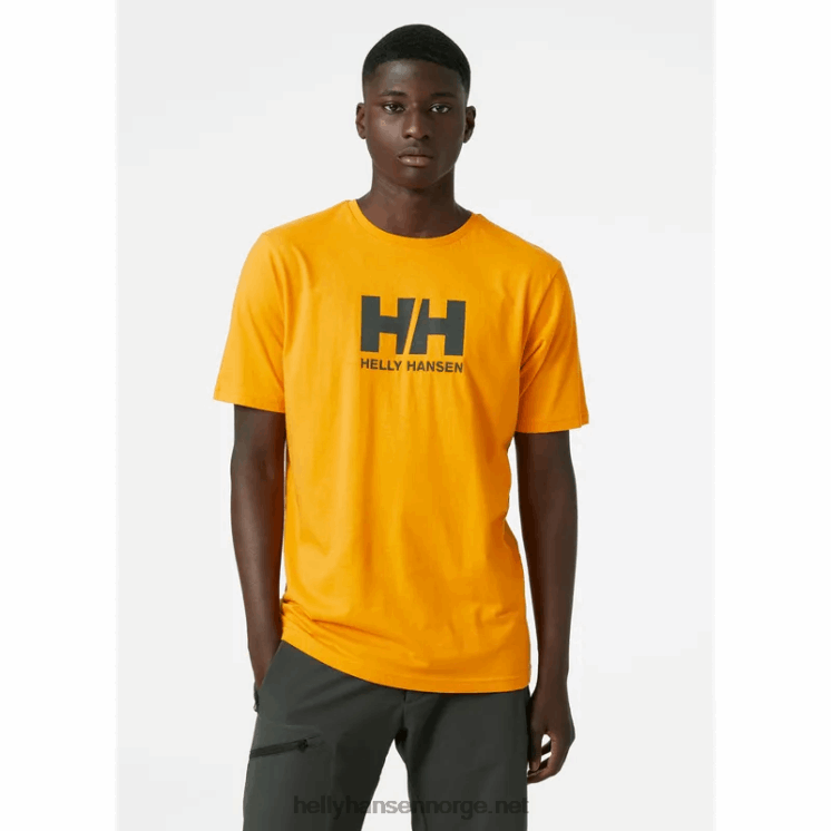 hh logo t-skjorte for menn Helly-Hansen F6TJ0856 ibenholt melan