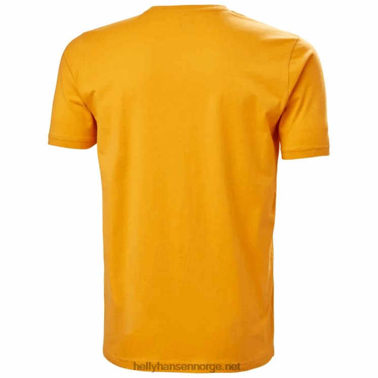 hh logo t-skjorte for menn Helly-Hansen F6TJ0856 ibenholt melan