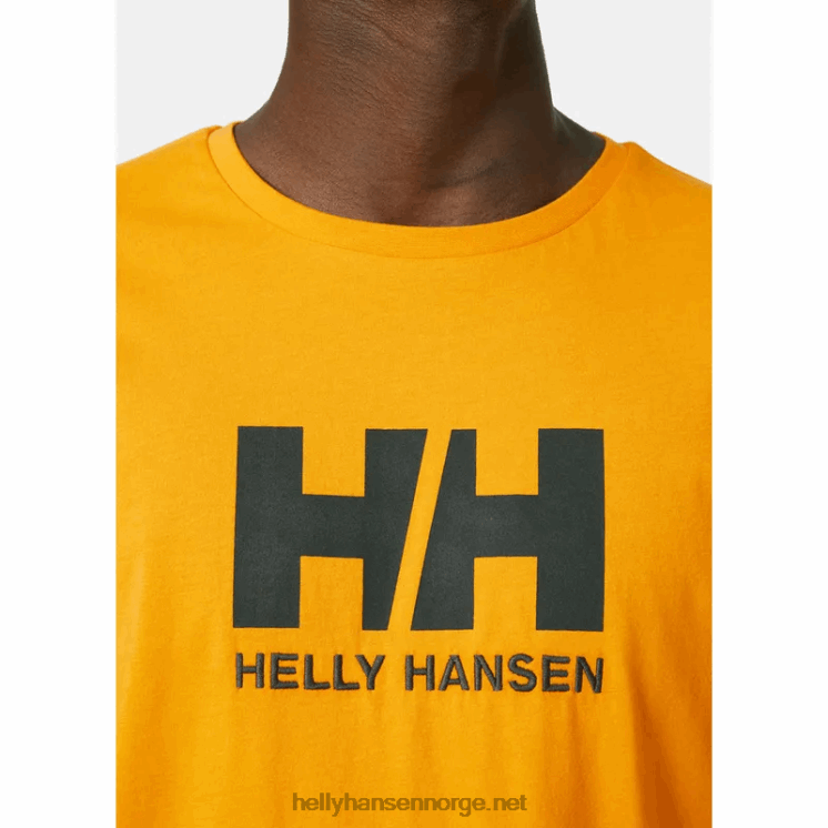 hh logo t-skjorte for menn Helly-Hansen F6TJ0856 ibenholt melan