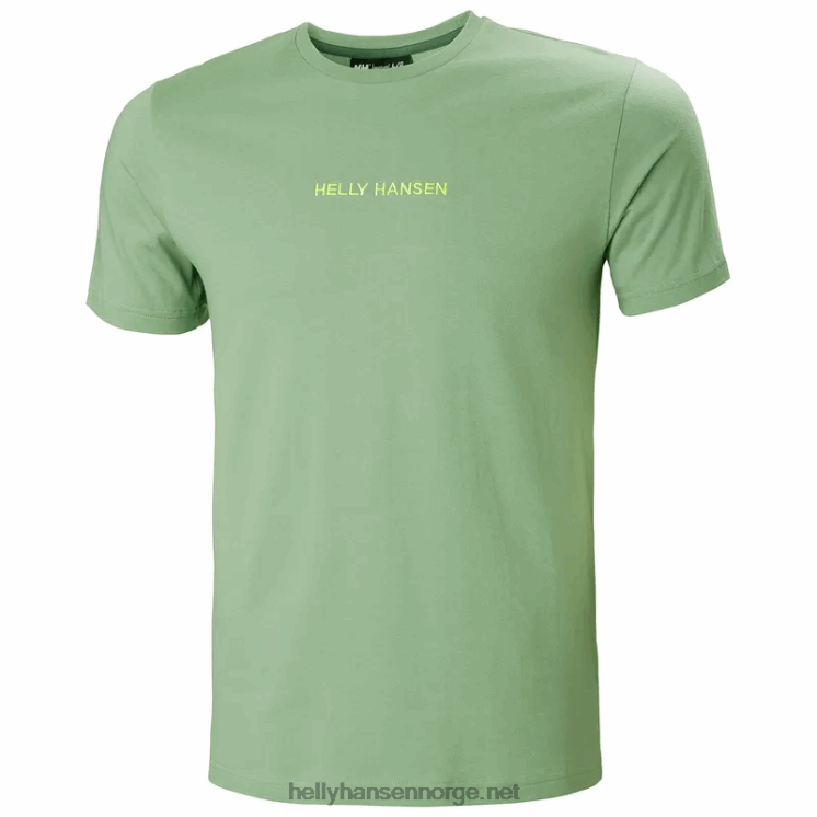 t-skjorte i bomull for menn Helly-Hansen F6TJ0949 svart
