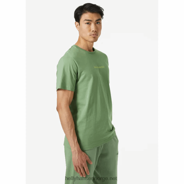 t-skjorte i bomull for menn Helly-Hansen F6TJ0949 svart