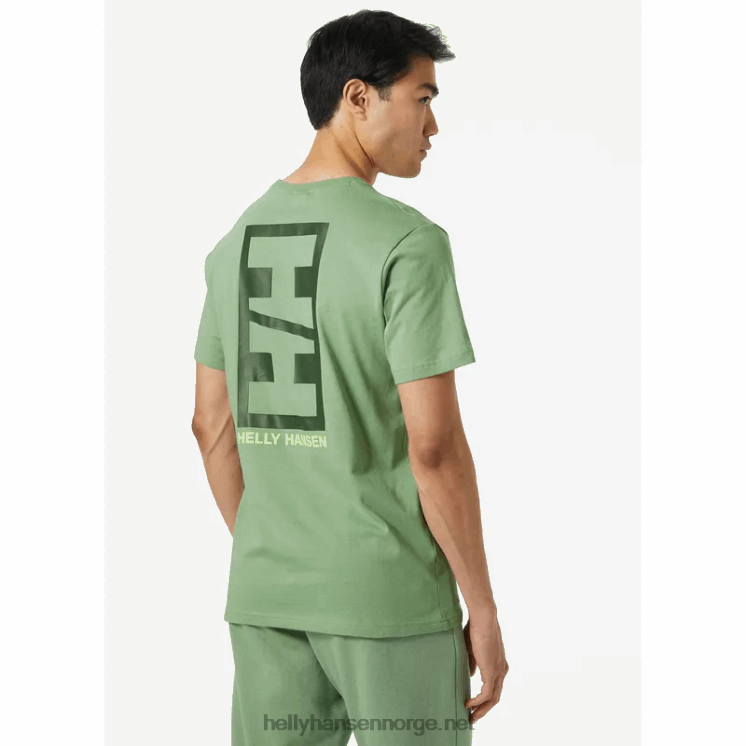 t-skjorte i bomull for menn Helly-Hansen F6TJ0949 svart