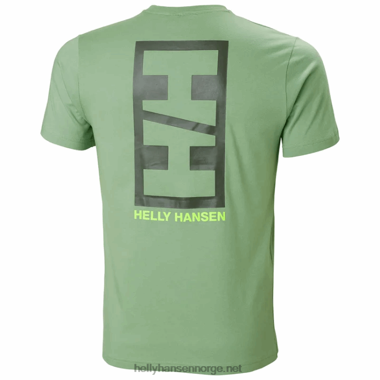 t-skjorte i bomull for menn Helly-Hansen F6TJ0949 svart