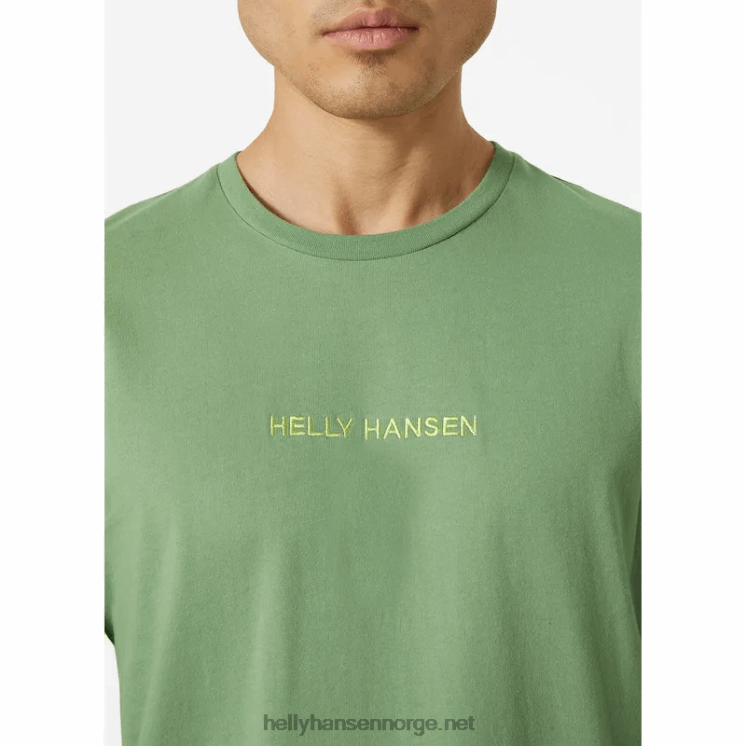 t-skjorte i bomull for menn Helly-Hansen F6TJ0949 svart